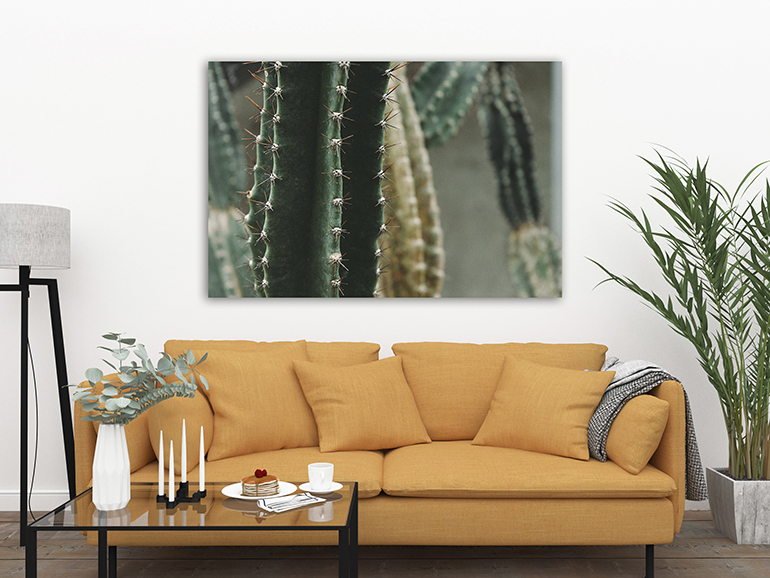 best-canvas-prints-home-decor